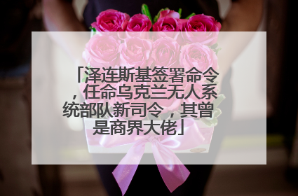 泽连斯基签署命令，任命乌克兰无人系统部队新司令，其曾是商界大佬