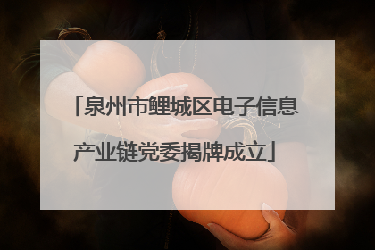 泉州市鲤城区电子信息产业链党委揭牌成立