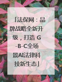 法保网：品牌战略全新升级，打造 G-B-C全场景AI法律科技新生态