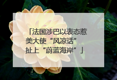 法国涉巴以表态惹美大使“风凉话” 扯上“蔚蓝海岸”