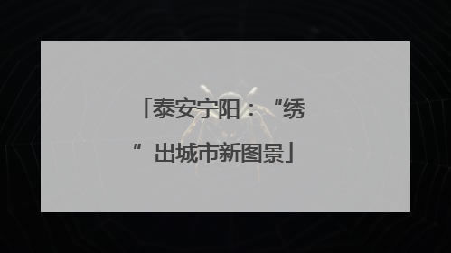 泰安宁阳：“绣”出城市新图景