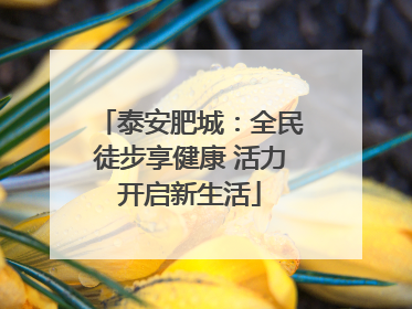 泰安肥城：全民徒步享健康 活力开启新生活