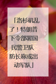 洛杉矶乱了！特朗普下令部署国民警卫队 防长称或出动军队