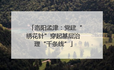 洛阳孟津：党建“绣花针”穿起基层治理“千条线”