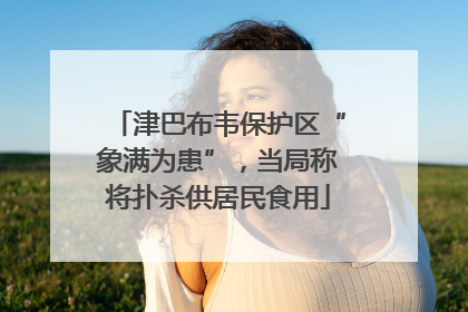 津巴布韦保护区“象满为患”，当局称将扑杀供居民食用