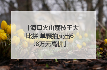 海口火山荔枝王大比拼 单颗拍卖出6.8万元高价