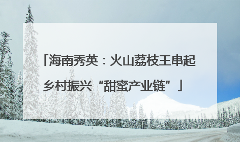 海南秀英：火山荔枝王串起乡村振兴“甜蜜产业链”