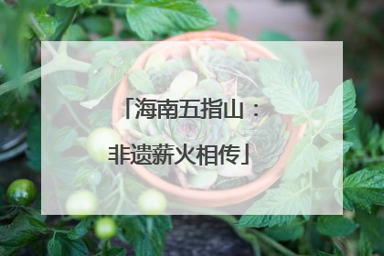 海南五指山：非遗薪火相传