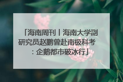 海南周刊丨海南大学副研究员赵鹏曾赴南极科考：企鹅都市破冰行