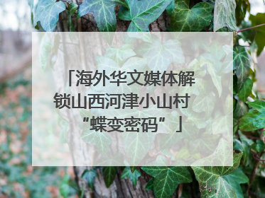 海外华文媒体解锁山西河津小山村“蝶变密码”