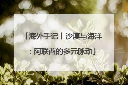 海外手记丨沙漠与海洋：阿联酋的多元脉动