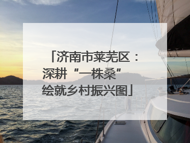 济南市莱芜区：深耕“一株桑” 绘就乡村振兴图