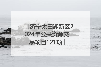 济宁太白湖新区2024年公共资源交易项目121项