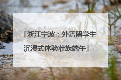 浙江宁波：外籍留学生沉浸式体验壮族端午