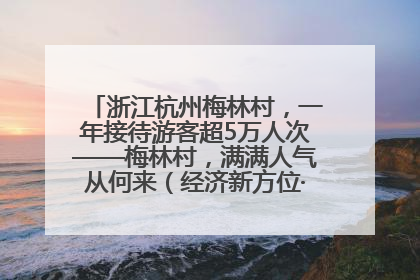 浙江杭州梅林村，一年接待游客超5万人次——梅林村，满满人气从何来（经济新方位·农村消费观察）