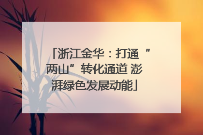 浙江金华：打通“两山”转化通道 澎湃绿色发展动能