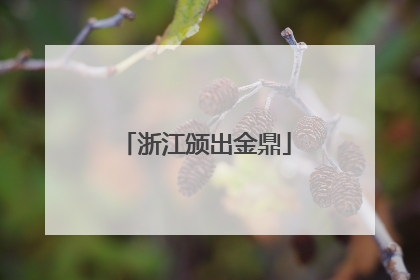 浙江颁出金鼎