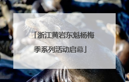 浙江黄岩东魁杨梅季系列活动启幕