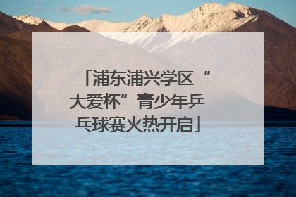 浦东浦兴学区“大爱杯”青少年乒乓球赛火热开启