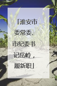 淮安市委常委、市纪委书记岳岭，履新职