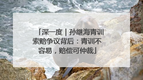 深一度｜孙继海青训索赔争议背后：青训不容易，赔偿可仲裁
