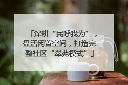 深耕“民呼我为”，盘活闲置空间，打造完整社区“翠苑模式”