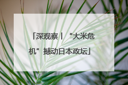 深观察丨“大米危机”撼动日本政坛