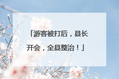游客被打后，县长开会，全县整治！