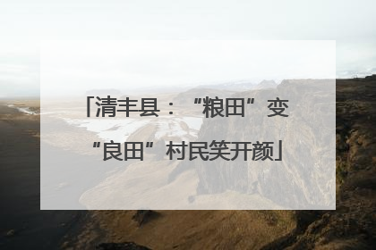 清丰县：“粮田”变“良田”村民笑开颜