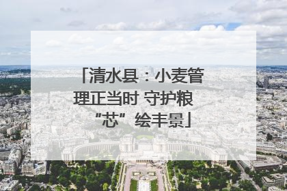 清水县：小麦管理正当时 守护粮“芯”绘丰景