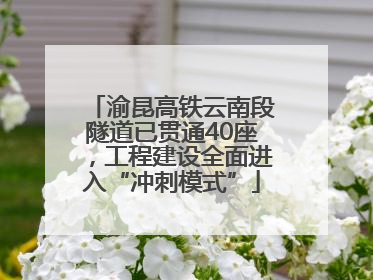 渝昆高铁云南段隧道已贯通40座，工程建设全面进入“冲刺模式”