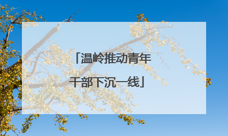 温岭推动青年干部下沉一线