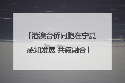 港澳台侨同胞在宁夏感知发展 共叙融合