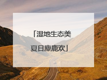 湿地生态美 夏日麋鹿欢
