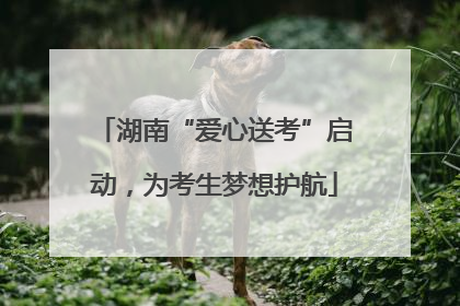 湖南“爱心送考”启动，为考生梦想护航