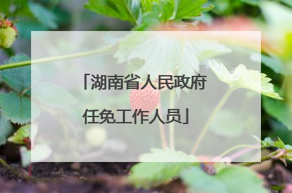 湖南省人民政府任免工作人员