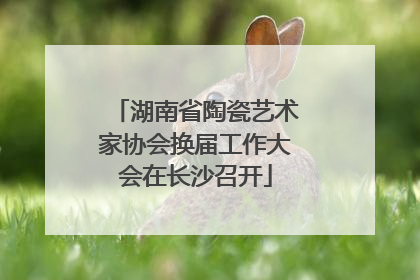 湖南省陶瓷艺术家协会换届工作大会在长沙召开