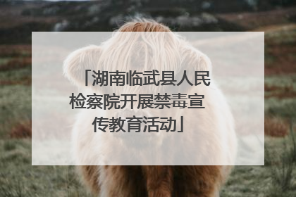 湖南临武县人民检察院开展禁毒宣传教育活动