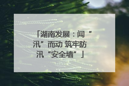 湖南发展：闻“汛”而动 筑牢防汛“安全墙”
