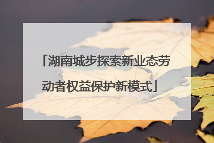 湖南城步探索新业态劳动者权益保护新模式