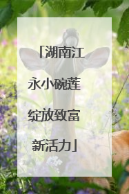 湖南江永小碗莲绽放致富新活力