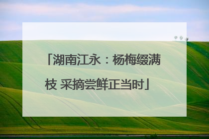 湖南江永：杨梅缀满枝 采摘尝鲜正当时