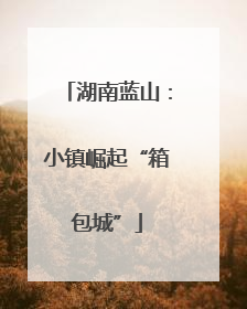 湖南蓝山：小镇崛起“箱包城”