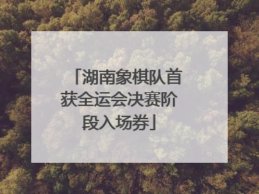 湖南象棋队首获全运会决赛阶段入场券