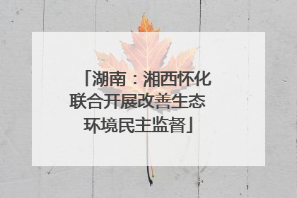 湖南：湘西怀化联合开展改善生态环境民主监督