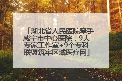 湖北省人民医院牵手咸宁市中心医院，9大专家工作室+9个专科联盟筑牢区域医疗网