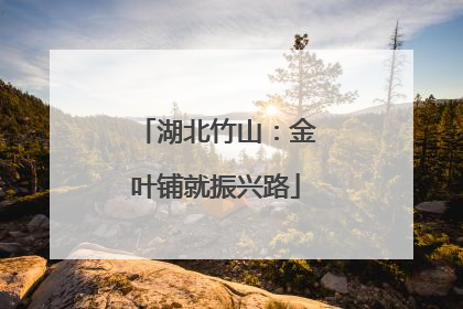 湖北竹山：金叶铺就振兴路