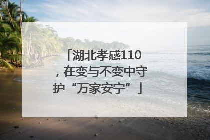 湖北孝感110，在变与不变中守护“万家安宁”