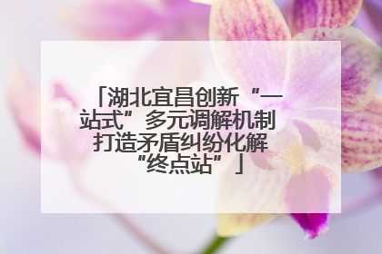 湖北宜昌创新“一站式”多元调解机制 打造矛盾纠纷化解“终点站”