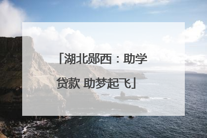 湖北郧西：助学贷款 助梦起飞